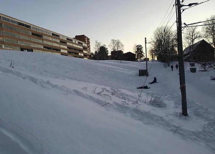 Trosterud I Апартаменты